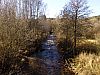 DSC05885.jpg